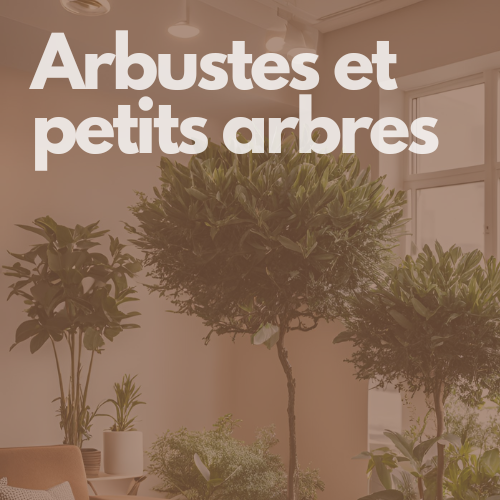 arbres arbustes hover