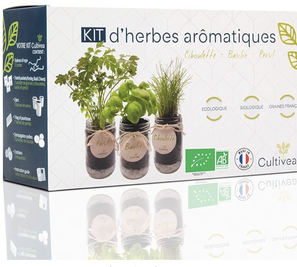 Kit d'herbes aromatiques pour jardinage urbain