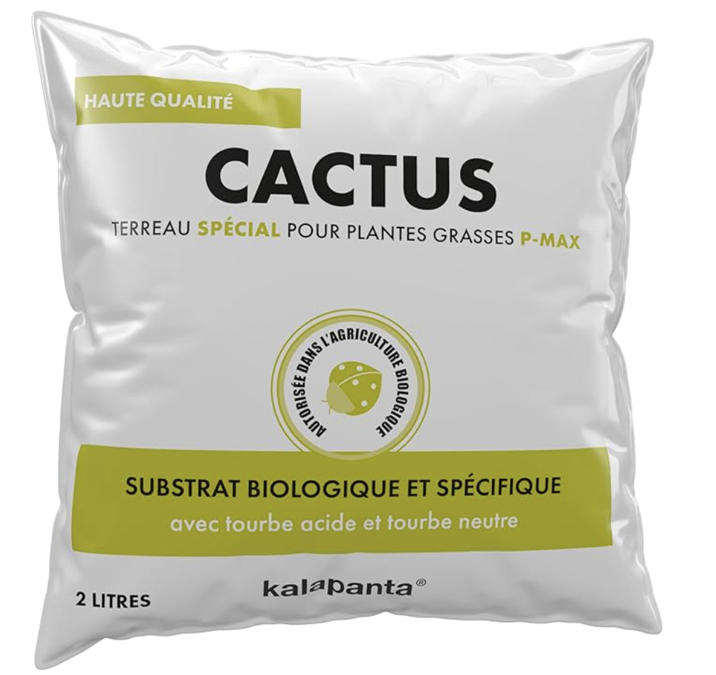 Terreau pour succulentes et cactus