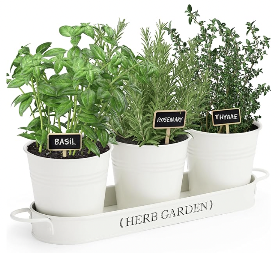 Pots drainants pour jardin d'herbes aromatiques