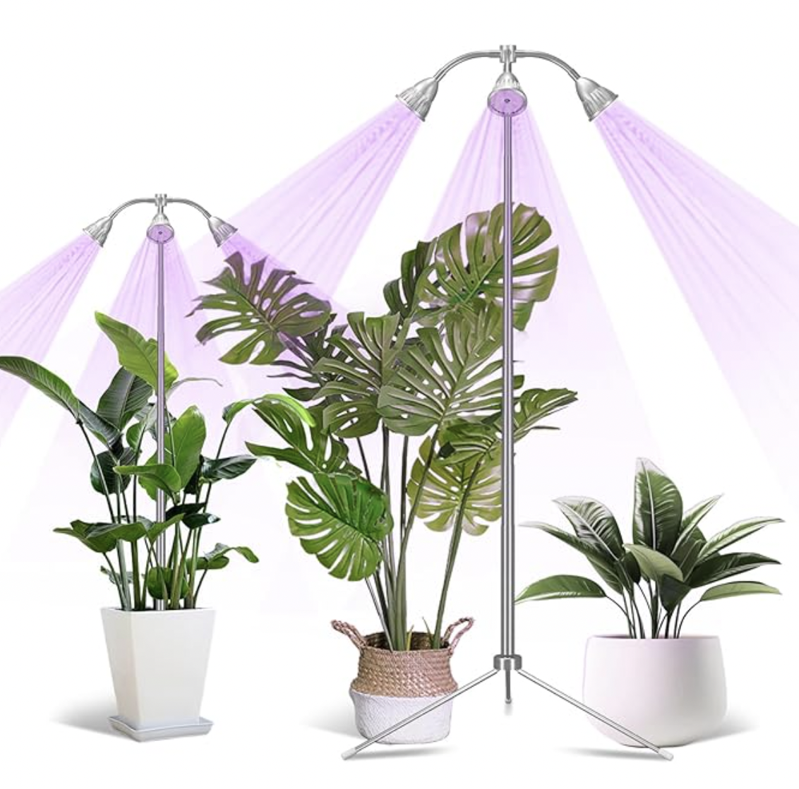 Lampe de croissance plantes d'intérieur