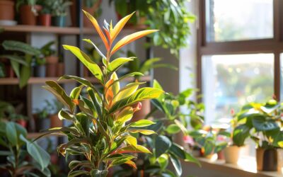 Attention ! Ces 5 symptômes sur vos plantes d’intérieur cachent un danger mortel